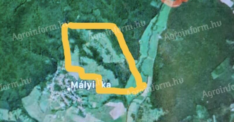 134ha,  legelő,  erdő eladó