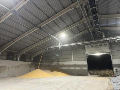 Betárolószalag Betárolószalag