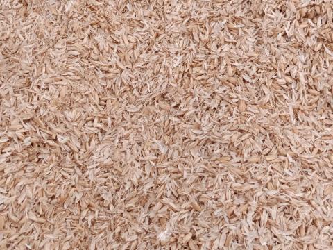 Tönkölypelyva BIO minősítéssel eladó