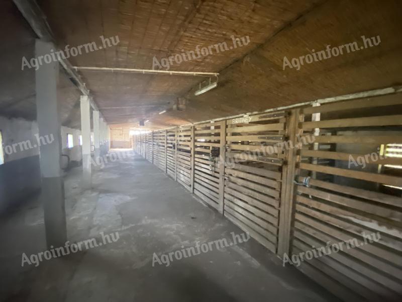 3,8 ha mezőgazdasági terület