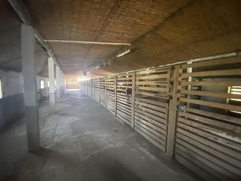 Lovarda és mezőgazdasági terület eladó Undon, az osztrák határ közelében