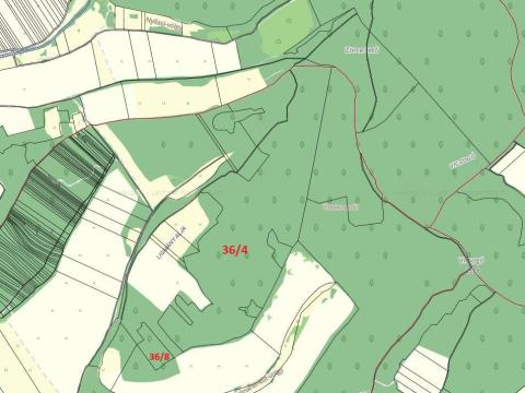 Eladó erdők Balajton Eladó erdők Balajton