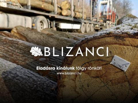 A BLIZANCI Kft. eladásra kínál tölgy rönköt A BLIZANCI Kft. eladásra kínál tölgy rönköt