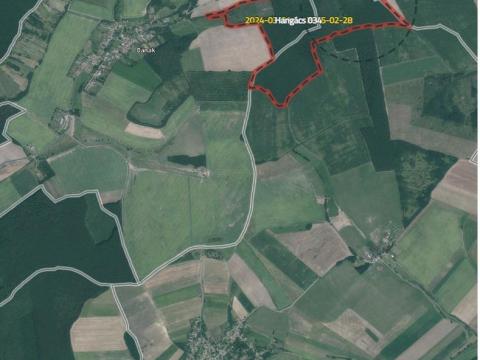 Eladó osztatlan erdő Hangácson Eladó osztatlan erdő Hangácson