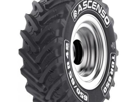 650/65R42 Ascenso TDR650 165D TL 650/65R42 Ascenso TDR650 165D TL