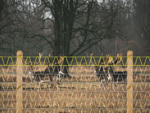 Vadháló,  drótfonat amilyet még nem látott. Trapéz drótháló