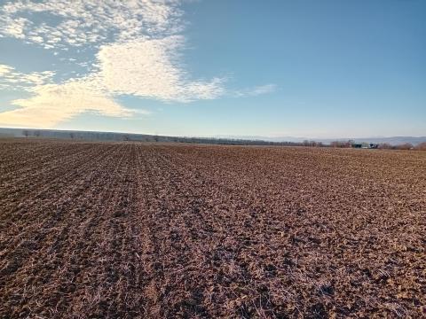 Szántóföld Nagycenk Szántóföld Nagycenk