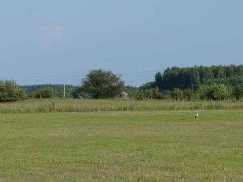 Rét, legelő és szántó 17,6 hektár Vasadon, Budapesttől 30 km-re eladó