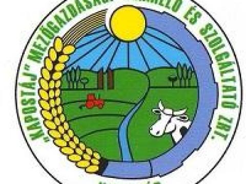 Mezőgazdasági gépkezelő, traktoros Mezőgazdasági gépkezelő, traktoros