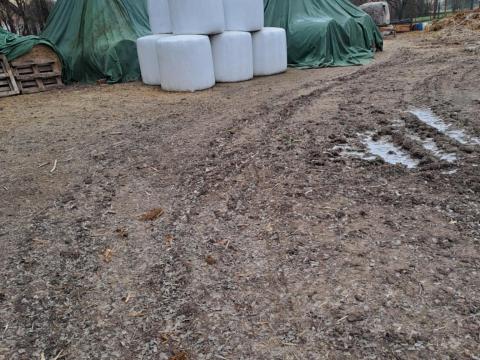 Szudáni fű, csomagolt Szudáni fű, csomagolt