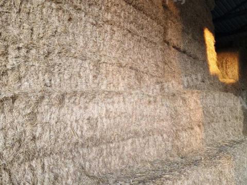 Széna nagykocka elado Széna nagykocka elado