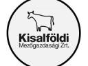 Műszakvezetőt keresünk holstein-fríz tejelő szarvasmarhatelepünkre