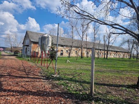 GKSZ-9 terület / 100-as istálló / telephely / raktár eladó Békéscsaba külterületén GKSZ-9 terület / 100-as istálló / telephely / raktár eladó Békéscsaba külterületén