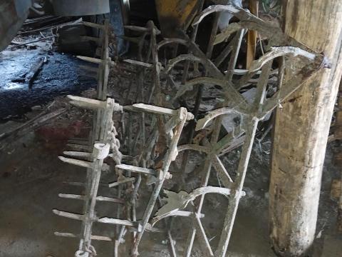 Fogas borona Fogas borona