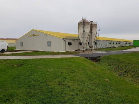 Nyugat-Dunántúlon 13.096 m² összes beépítettségű,  működő baromfinevelő telep eladó Nyugat-Dunántúlon 13.096 m² összes beépítettségű,  működő baromfinevelő telep eladó