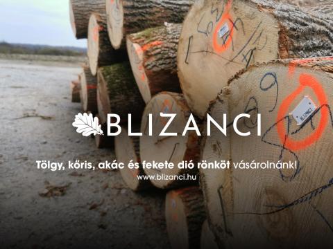 A BLIZANCI Kft. tölgy,  kőris,  akác és fekete dió rönköt vásárolna A BLIZANCI Kft. tölgy,  kőris,  akác és fekete dió rönköt vásárolna