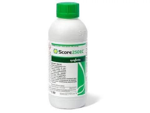 Score 250 EC Score 250 EC