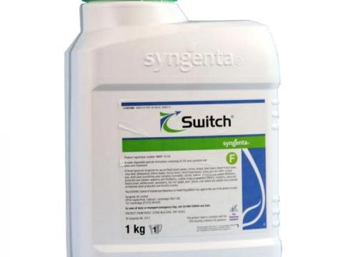 Switch 62,5 WG Switch 62,5 WG