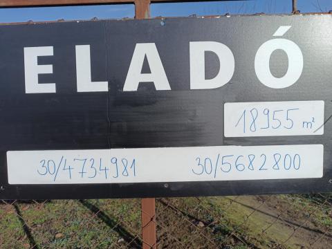 Eladó gyümölcsös Mátészalkán Eladó gyümölcsös Mátészalkán