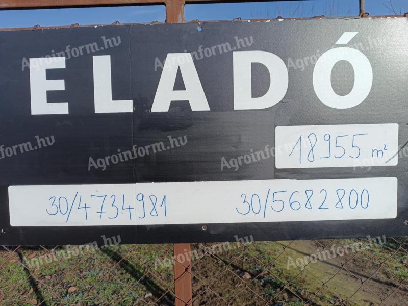 Eladó gyümölcsös Mátészalkán
