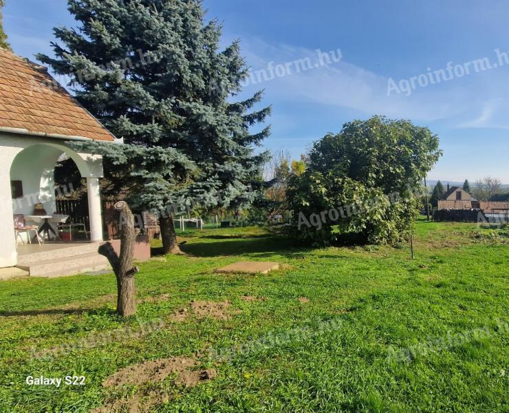 Balaton közelében panorámás gyümölcsös eladó