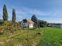 Balaton közelében panorámás gyümölcsös eladó