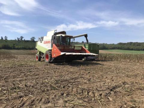 NAS-676 zúzós napraforgó-adapter NAS-676 zúzós napraforgó-adapter