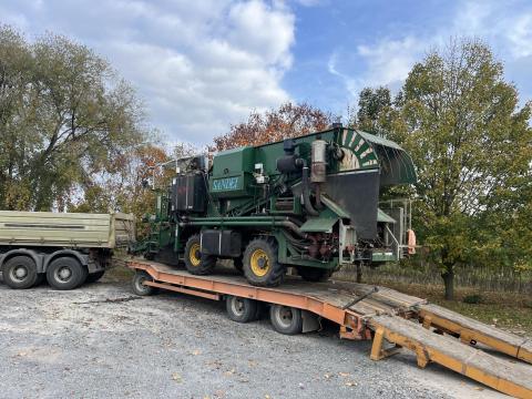 Sandei paradicsomszedő Sandei paradicsomszedő