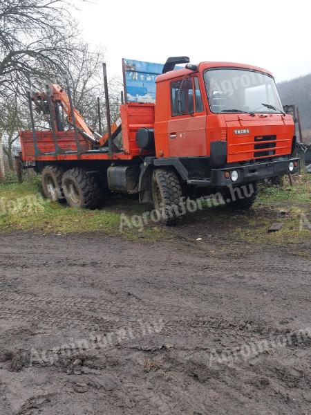 Tatra 815 erdészeti darus teherautó