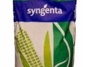 Syngenta Artos kukorica vetőmag