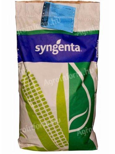 Syngenta Artos kukorica vetőmag