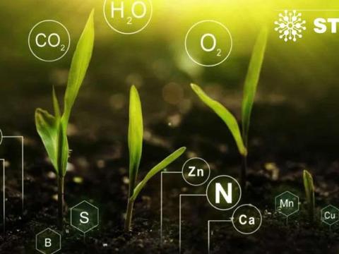 Év végi készletkisöprés! Már csak 5 kamion elérhető! Élesztőgyári vinasz Budafokról a talajélet aktiválására Év végi készletkisöprés! Már csak 5 kamion elérhető! Élesztőgyári vinasz Budafokról a talajélet aktiválására