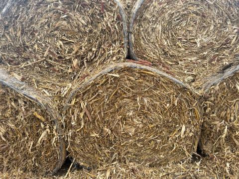 Csutka bála eladó Csutka bála eladó