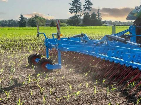 LEMKEN Thulit MF/600 Gyomfésű LEMKEN Thulit MF/600 Gyomfésű