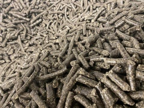 NAPRAFORGÓmag, LENmag, TÖKmag pellet eladó!! NAPRAFORGÓmag, LENmag, TÖKmag pellet eladó!!