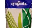 Syngenta Torino kukorica vetőmag