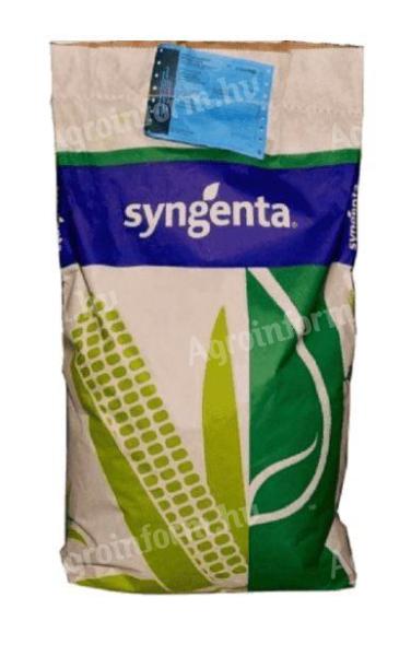 Syngenta Torino kukorica vetőmag