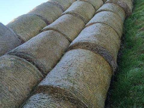 Szalma bála 125 x 125 Szalma bála 125 x 125