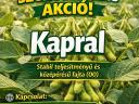 Szója vetőmag eladó