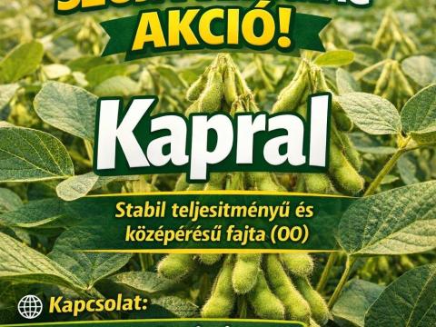 Szója vetőmag eladó Szója vetőmag eladó