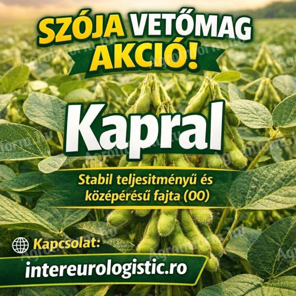 Szója vetőmag eladó