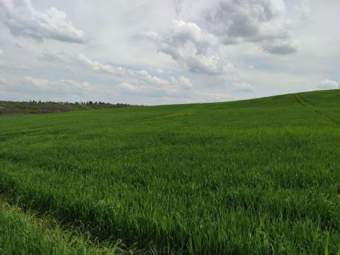 Nyékládháza - Bükkaranyos területén elhelyezkedő 67 ha Termőföld, telephely, TÓ ELADÓ Nyékládháza - Bükkaranyos területén elhelyezkedő 67 ha Termőföld, telephely, TÓ ELADÓ