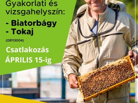 Méhész képzés kedvezményes áron – Biatorbágy és Tokaj helyszíneken Méhész képzés kedvezményes áron – Biatorbágy és Tokaj helyszíneken