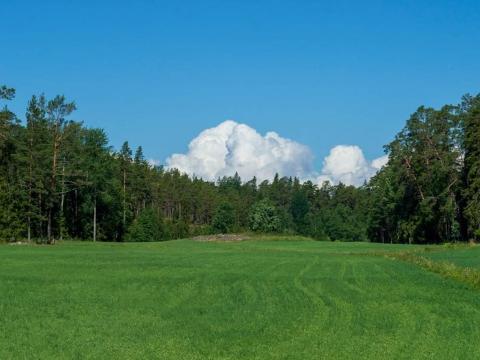 Kiskunhalas külterületén 21 hektár legelő,  szántó és erdő egyben eladó Kiskunhalas külterületén 21 hektár legelő,  szántó és erdő egyben eladó