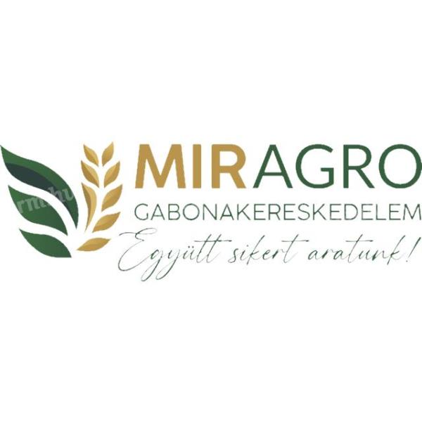 Syngenta Bacardi CLP napraforgóvetőmag eladó