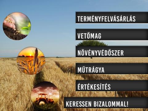 AGROTERRA GRAIN Kft AGROTERRA GRAIN Kft