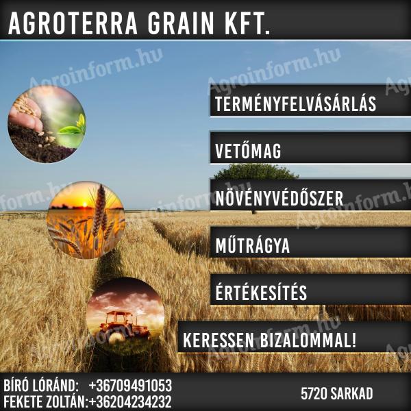 AGROTERRA GRAIN Kft