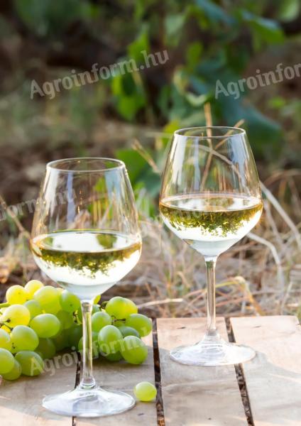 Irsai Olivér fehérbor a Mátrai borvidékről 2025 évjárat