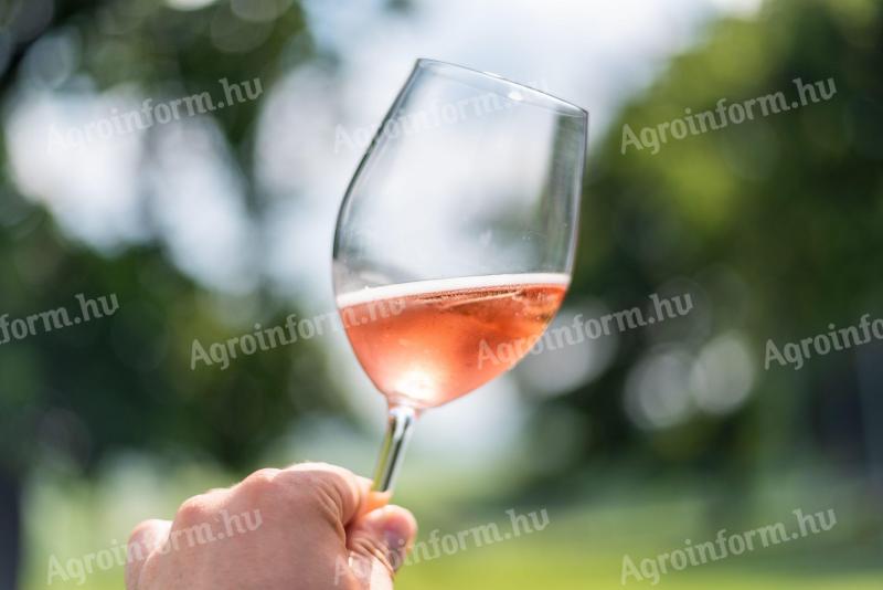 Termelői fehér és vörös bor,  akár lepárlásra is
