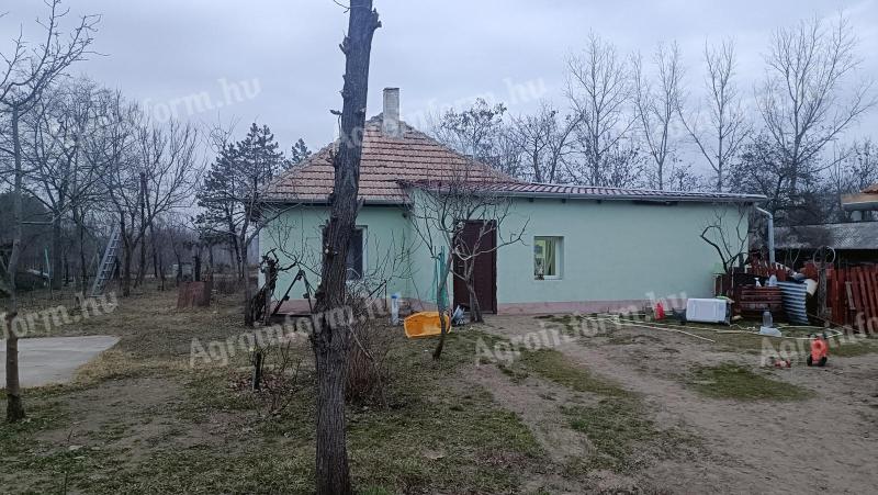 Balotaszállás faluhoz közeli tanya eladó